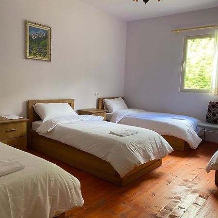 Vita Guesthouse Bajram Curri ภายนอก รูปภาพ