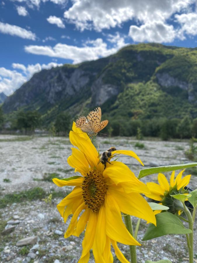 Vita Guesthouse Bajram Curri ภายนอก รูปภาพ